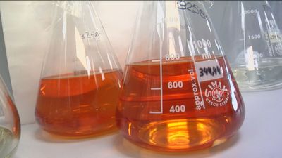 Bruselas desvela su plan para restringir el uso de sustancias tóxicas