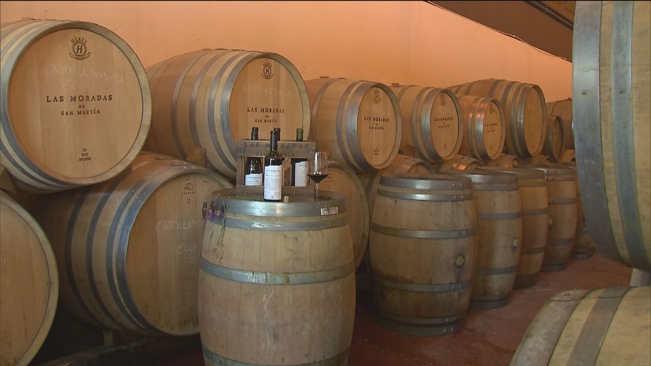 Un vino de Madrid de la bodega Las Moradas de San Martín gana el 'Gran Bacchus de Oro'