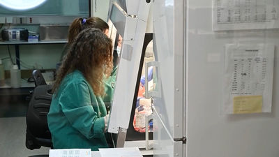 Hepatitis aguda infantil: Un Experto avala la teoría de que es un "efecto perverso" de la covid