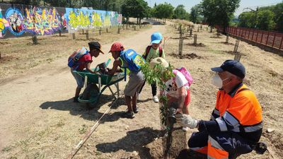 Siete municipios madrileños, reconocidos con el  ‘Tree Cities of the World’ de Naciones Unidas