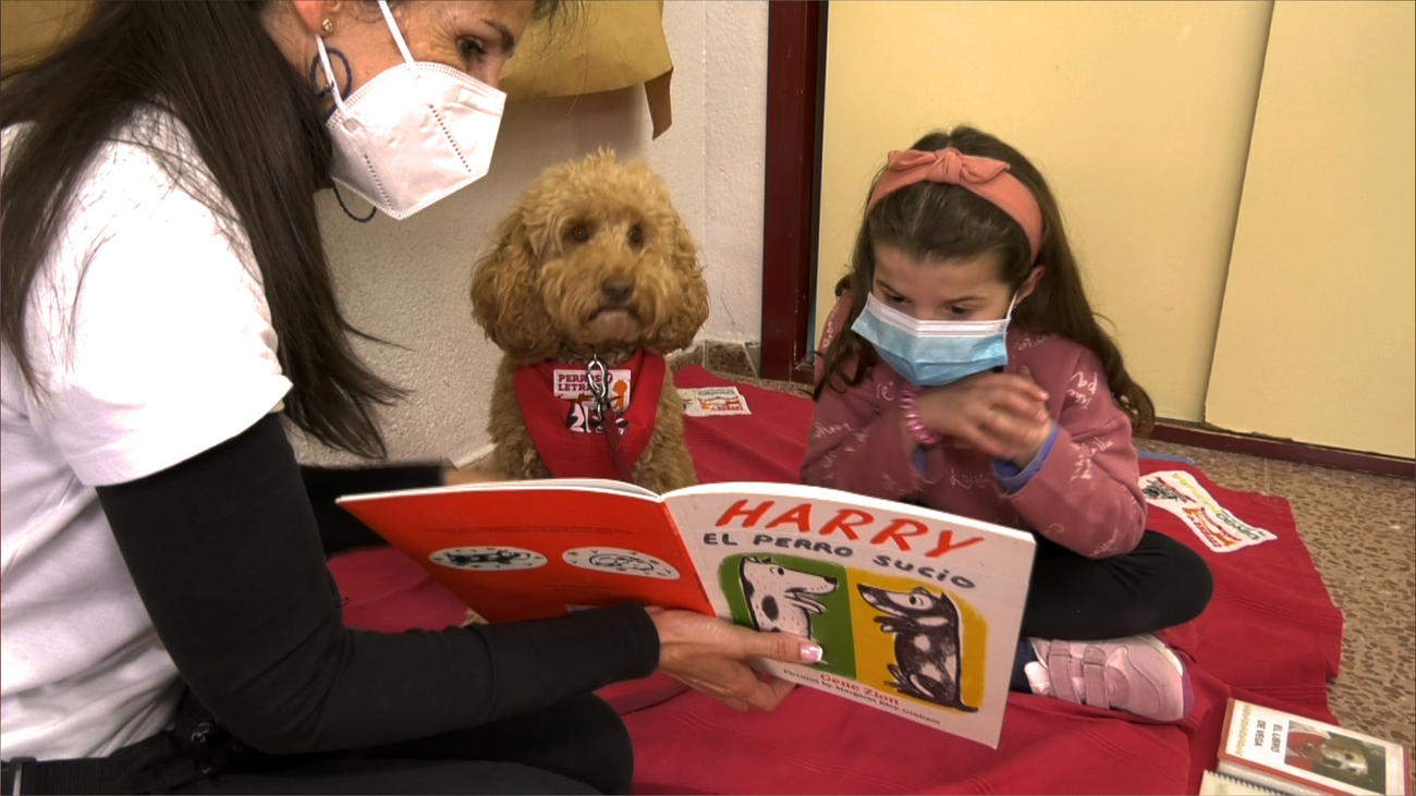 Terapia Asistida con perros en personas con Trastorno del Espectro Autista (TEA)