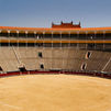 Madrid espera adjudicar "cuanto antes" la gestión de la Plaza de Toros de las Ventas: "La fiesta no va a parar"