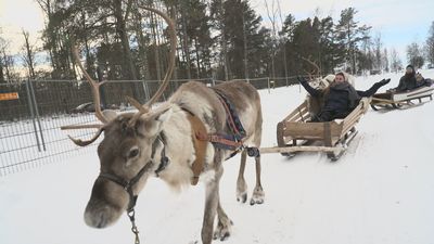 Madrileños por el mundo: Costa Finlandesa