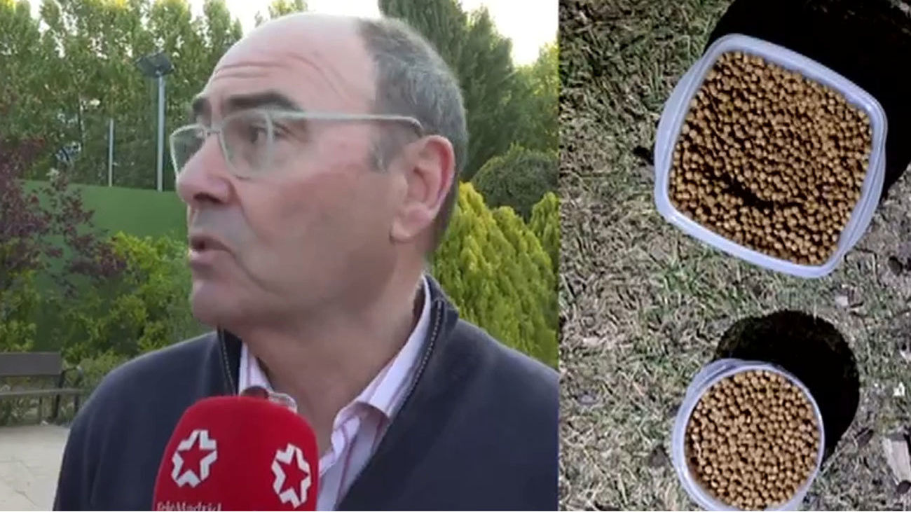 Tensión vecinal en Rivas: Una mujer se cuela en una urbanización para dar de comer a una colonia de gatos