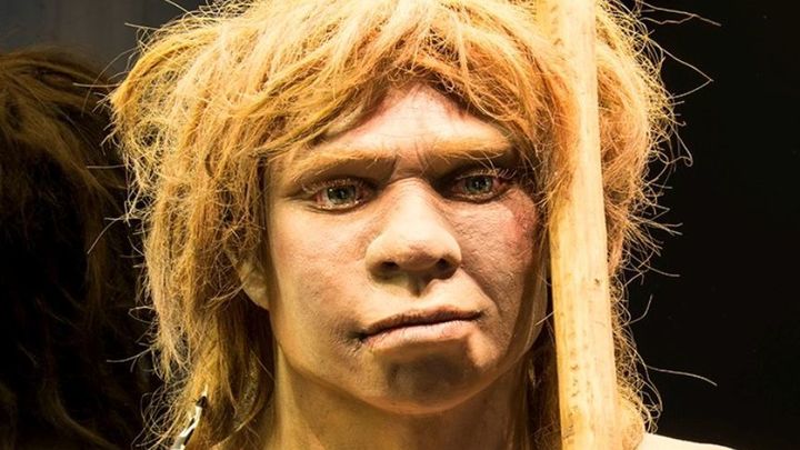 Nea, la última neandertal, Museo Arqueológico Nacional / MAN