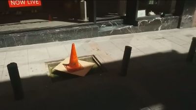 La 'cutresolución' en Madrid para que nadie se caiga en un alcorque convertido en piscina