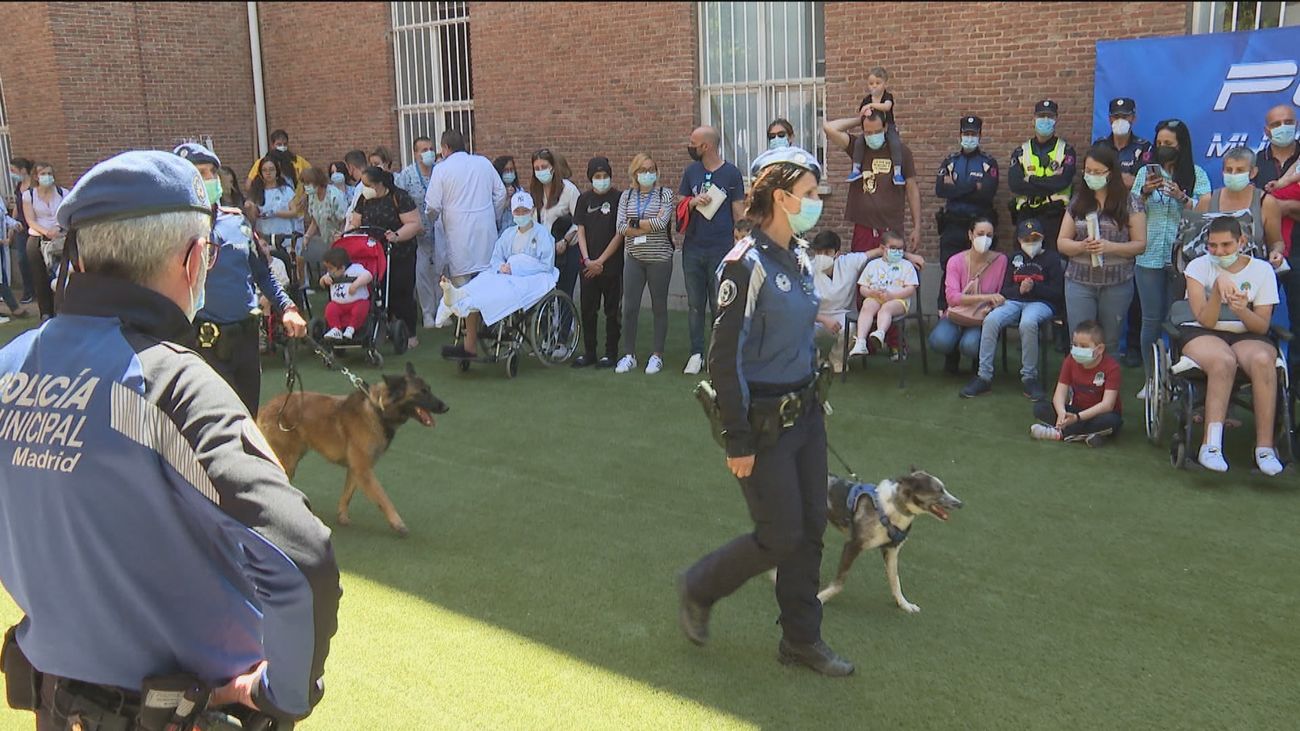 Payasos y  Policía Municipal llevan la sonrisa a los niños del Hospital Niño Jesús