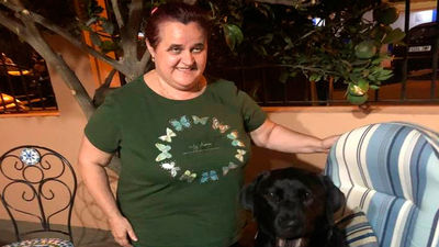 Una  ciega denunciará a Iberia por impedirle volar a Londres con su perro guía