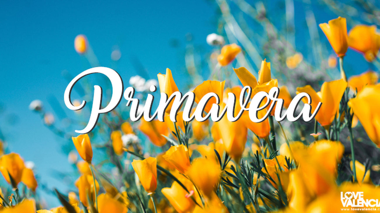 La batuta mágica 15.05.2022