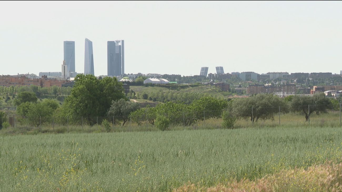 El Bosque Metropolitano choca con las protestas de 200 propietarios de terrenos en Fuencarral