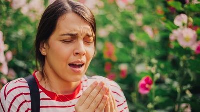 Temperaturas más altas y problemas para los alérgicos, ¿Cómo saber si es alergia o Covid?