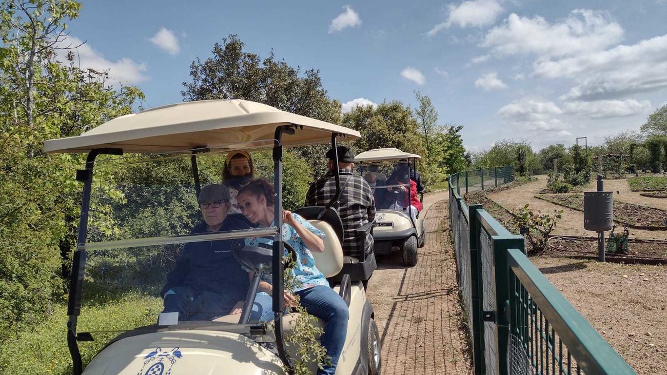 Vehículos eléctricos para recorrer el Jardín Botánico de Alcalá de Henares