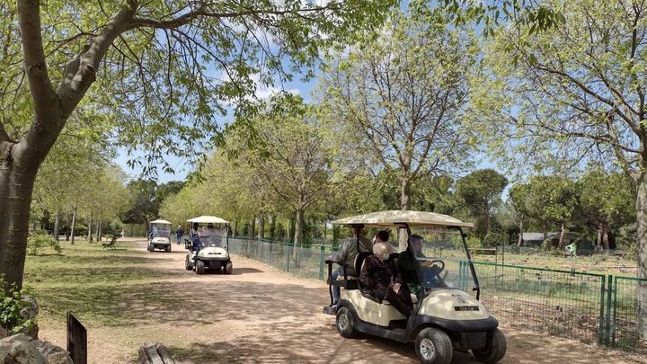 Vehículos eléctricos / AYTO ALCALÁ DE HENARES