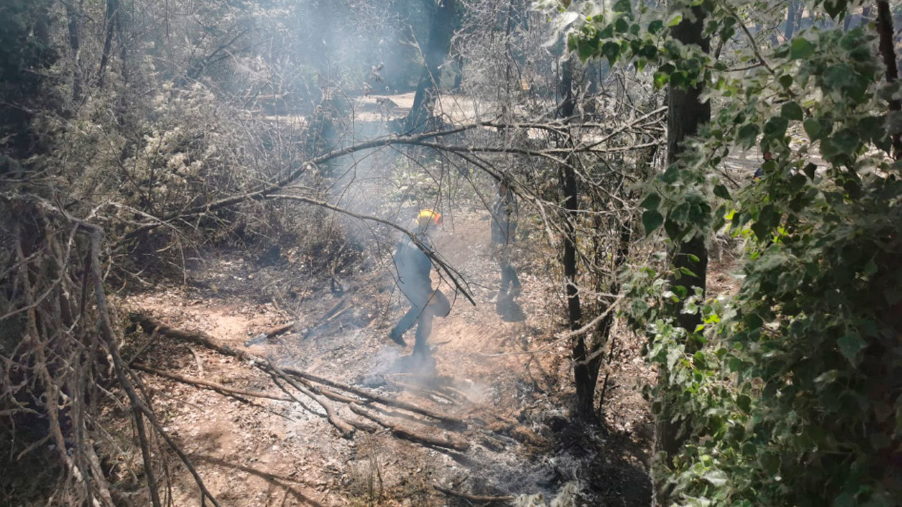 Zona del incendio en el pinar de la Senda Mágica de Arroyomolinos