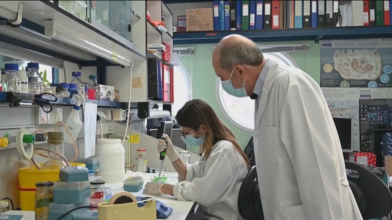 La vacuna madrileña contra la Covid estará lista en junio