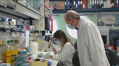 La vacuna madrileña contra la Covid estará lista en junio