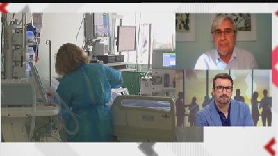 Las claves que debes conocer sobre la viruela del mono