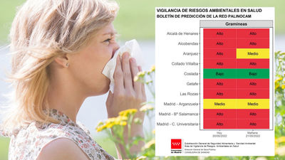 Madrid vive la peor semana para los alérgicos: polen y polvo sahariano