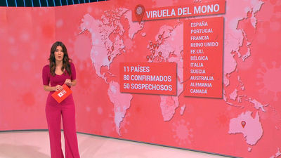 Viruela del mono: El G-7 trabaja con una simulación de pandemia para 2023