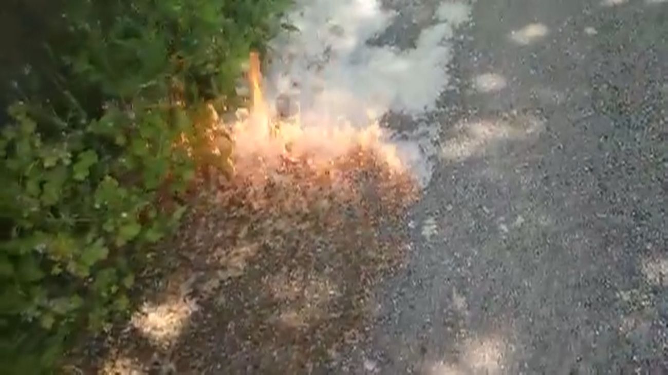 ¡Cuidado con la pelusa del chopo! Riesgo de incendio