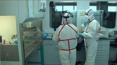 La viruela del mono, la última alerta sanitaria internacional