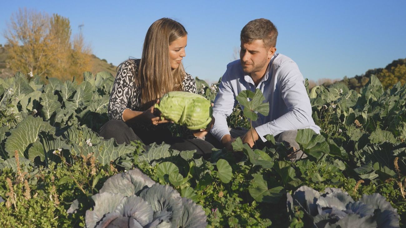La pasarela otoño-invierno de las hortalizas