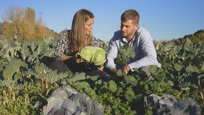 La pasarela otoño-invierno de las hortalizas