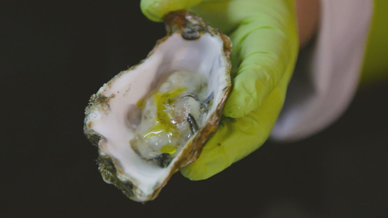 Degustando el "puro sabor del mar" en esta ostrería del mercado de Antón Martín