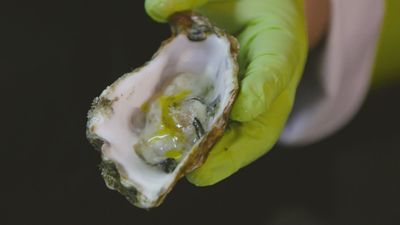 Degustando el "puro sabor del mar" en esta ostrería del mercado de Antón Martín