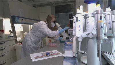 Sanidad descarta una vacunación masiva contra la viruela del mono, mientras otros países  ya compran vacunas