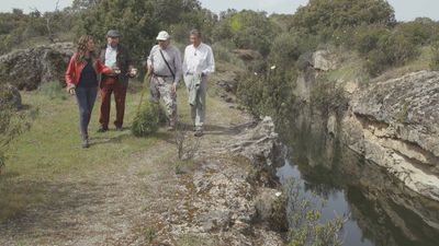 El importante pasado cantero de Hoyo de Manzanares