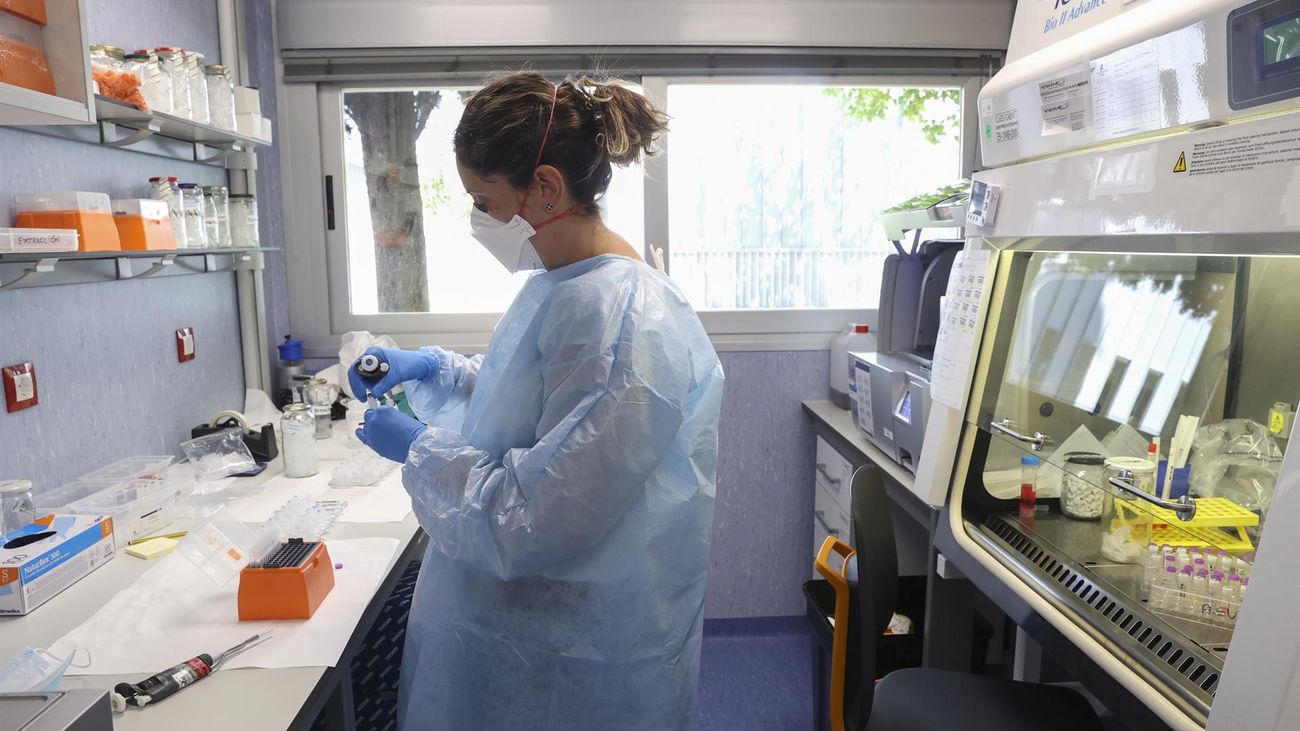 Obtienen la secuencia completa del virus de la viruela del mono en España