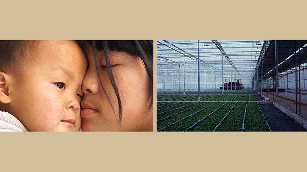 "Agrilogistics" y "All about my Sisters", ganadoras de Documenta Madrid 2022