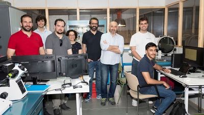 Diseñan un software para luchar contra el cáncer y crear microestructuras...y lo ceden libremente