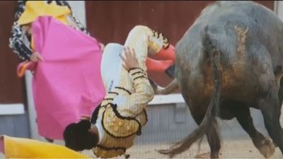 Toros, Feria de San Isidro: Gómez del Pilar intervenido de una cornada grave en el glúteo izquierdo