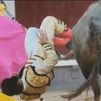 Toros, Feria de San Isidro: Gómez del Pilar intervenido de una cornada grave en el glúteo izquierdo