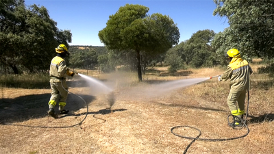 Así es el protocolo que desarrolla Patrimonio Nacional para evitar incendios