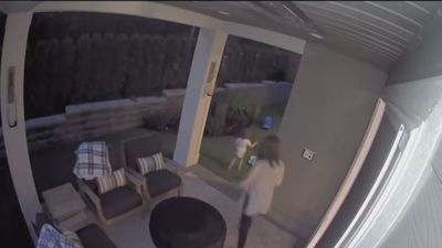 El susto de una madre al ver a su hija de cuatro años correr tras un oso que se había colado en su jardín