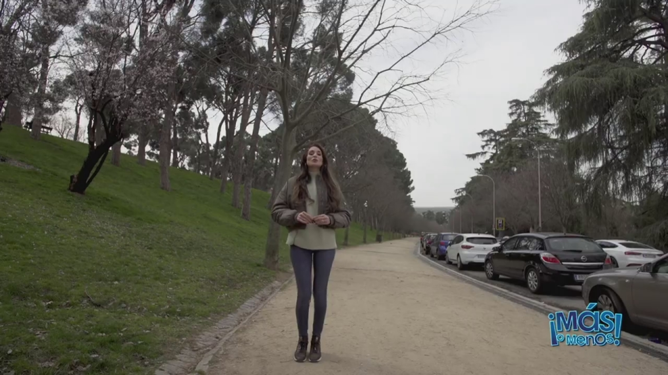 ¿Sabes cuántas estatuas hay en el Parque del Oeste en Madrid?