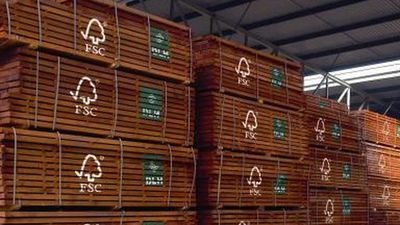 El Seprona evaluará una app de la Politécnica para detectar maderas ilegales