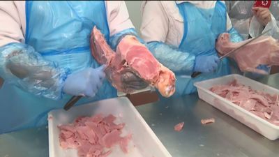 Así afronta el sector porcino la subida de precios y la reforma laboral