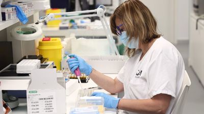 La OMS eleva a 780 los casos de viruela del mono, 156 en España