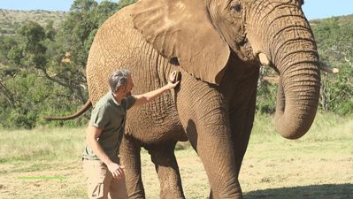 Madrileños por el mundo: Sudáfrica