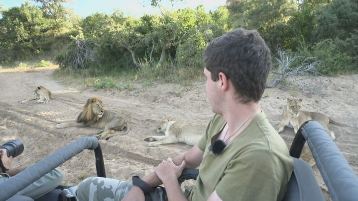Safari en el Parque Kruger / Redacción