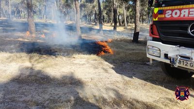Los bomberos de Alcorcón sofocan dos incendios de pasto