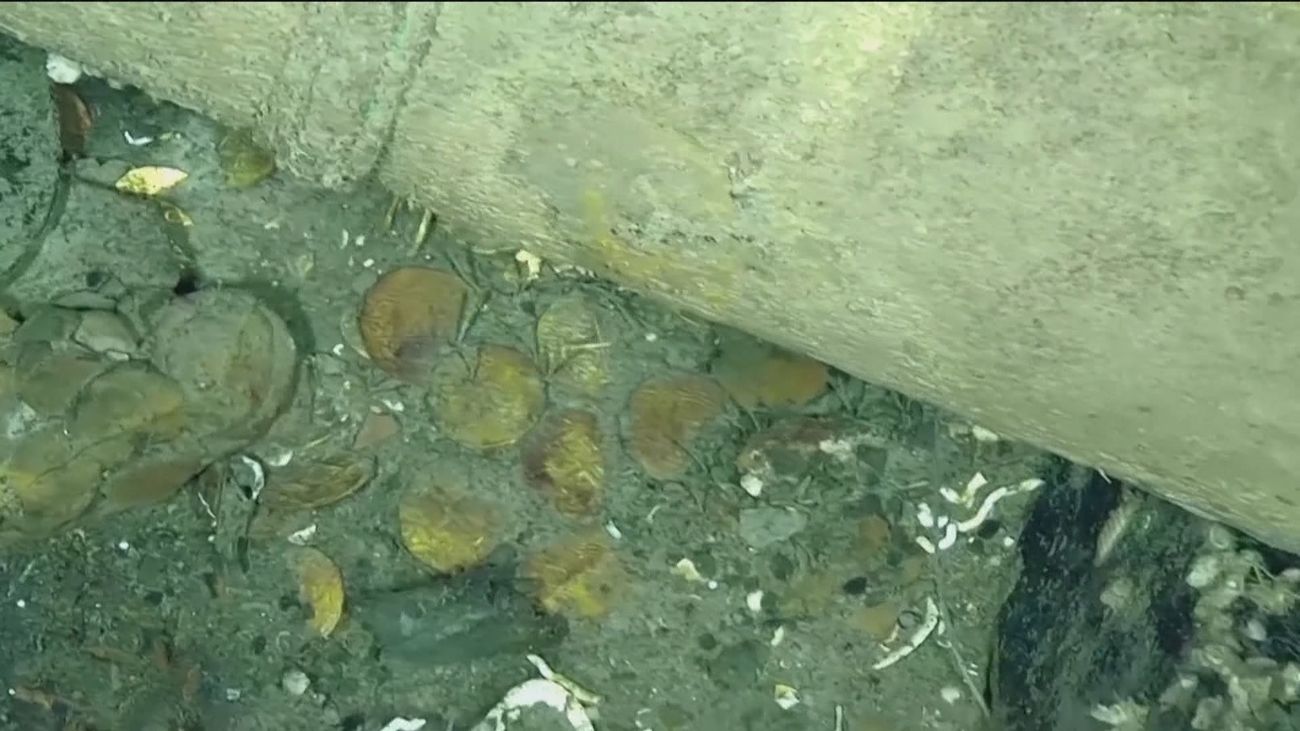 Hallado un nuevo tesoro junto al pecio del galeón San José, hundido en aguas colombianas