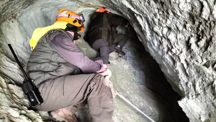Agentes de la Junta castellanoleonesa introducen cámaras en la cueva para comprobar el estado del animal herido / JUNTA DE CASTILLA Y LEÓN