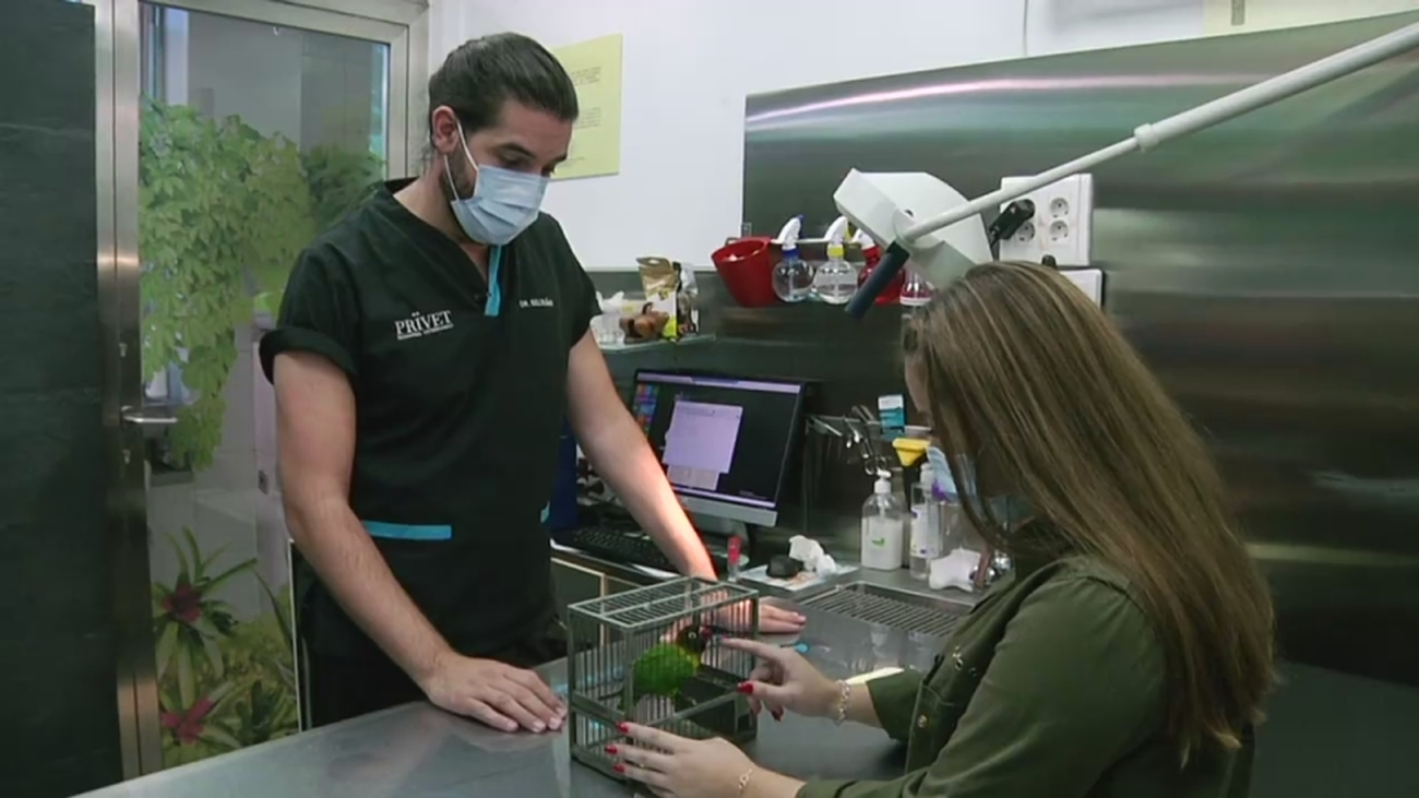 Hospital animal: Capítulo 4