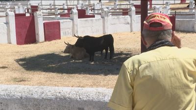 Los toros regresan a la Venta del Batán 18 años después