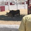 Los toros regresan a la Venta del Batán 18 años después